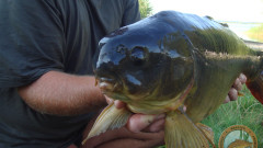 DKAC Mitgliederfotos