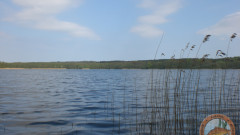 DKAC Mitgliederfotos