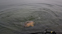 DKAC Jugendgruppe - Jugendfischen 2010