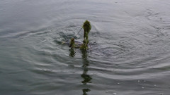 DKAC Jugendgruppe - Jugendfischen 2010